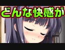 【紳士向け】#152　燃え上がる嫉妬心でお兄ちゃんを気持ちよくさせます【妹ぱらだいす！】