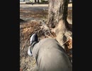 静岡市の池田公園でUber Eats待機中です。