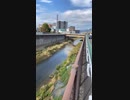 この放水路があっても、清水の洪水は発生した