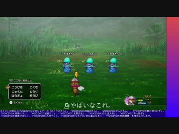 ドラゴンクエストX オフライン やる【ネタバレ注意】【アーカイブ】 #6-2