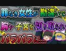 【ゆっくり解説】893やあたおかストーカーが起こした最悪の勘違い！！佐賀入院患者射〇事件