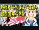 【韓国の反応】日本の観艦式に参加した韓国さんが旭日旗に敬礼をし、韓国国民が発狂【世界の〇〇にゅーす】