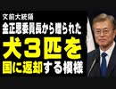 文前大統領、金正恩委員長から贈られた犬３匹を国に返却する模様