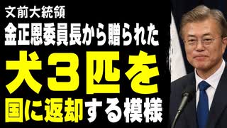 文前大統領、金正恩委員長から贈られた犬３匹を国に返却する模様