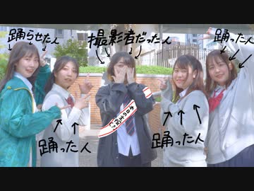 【撮影班に】気まぐれメルシィ【踊らせてみた】