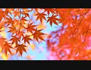 誰だよ