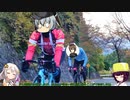 【ロードバイク】あかり・きりたんの自転車旅行R　ヤビツ峠 表&裏ライド
