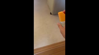 四片vsゴキブリpower