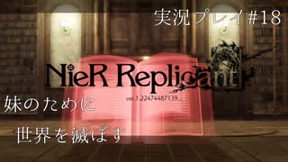 【ニーアレプリカント】誰かのために全てを滅ぼすPart18