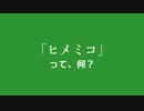 ヒメミコって何？　不在編