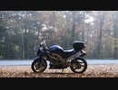 2022 Salvage Touring Report 6
