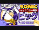 【ソニックキャラクター解説】ビッグ編　隠れた才能と隠れる才能
