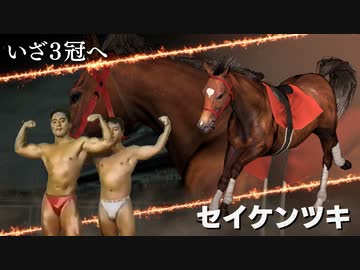 牧場経営のド迫力.WP9 2022 第24R(1993)(終)