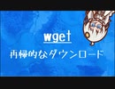 [10秒Linux]ざっくりわかる「wget」