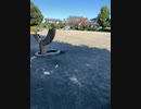Uber Eats待機中、静岡市