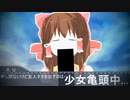 Reimu so Cookie☆？