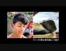 ８歳の男の子にかまれて死ぬコブラ.india