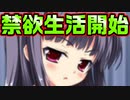 【紳士向け】#154　毎日のルーティンを奪われお兄ちゃんは絶望する【妹ぱらだいす！】