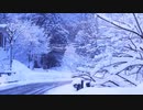 【ASMR*雪道をサクサク歩く】♪足音とRelaxing Natural Sounds-勉強用BGM・作業用BGM♪集中力up‼︎