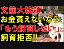【韓国ニュース】韓国前大統領､南北友好の証として贈られた犬の飼育をいきなり拒否し始める!【ゆっくり解説】