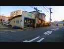 千葉県松戸市中矢切-下矢切を歩く 【千葉県市川市のつもりが全然松戸市だった編part 2】【散歩203】