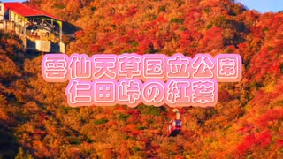 雲仙天草国立公園 仁田峠紅葉の旅