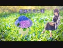【Saki AI】紫陽花色の雨【オリジナル曲】