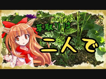 【百姓物語】草取りは二人で～ニートの家庭菜園日記～【９日目】