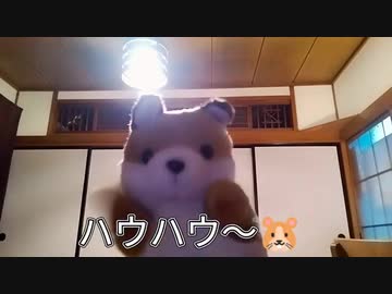 カツドンチャンネル様専用 gbparking.co.id