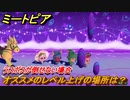 ミートピア　オススメのレベル上げの場所は？　ラスボス倒せない場合は？　【Miitopia】