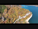 【Mavic3】岐阜県荘川の御母衣ダムで綺麗な紅葉をドローン空撮しました！！