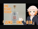 ONE NIGHT FEVER [JUNG ONE GIN]