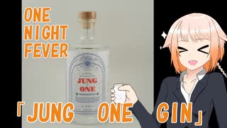 ONE NIGHT FEVER [JUNG ONE GIN]