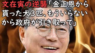 文在寅の逆襲「金正恩から貰った犬３匹、もういらないから今の韓国政府が引き取って」(日本第一！ニュース録)