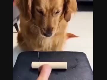親心