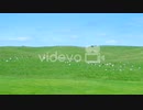 A dairy farm in hokkaido,Japan　宗仲孝