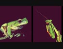 【NNIオリジナル】Frog & Mantis