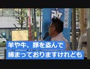 外国人実習制度を廃止しろ！年間数千人もの失踪者を出し続けていれば日本が潰れてしまう！20221105新松戸駅