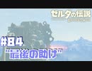 意味ないから！戦争とか！【ゾーラの里編】#84