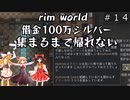 ＃1４　借金返済１００万シルバー集まるまで帰れない！？借金返済するまで生き延びろ！！【RimWorld】