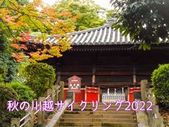 【サイクリング】今年の秋も自転車に乗って川越へ行ってきた（喜多院、三芳野神社、伊佐沼へ行きました）