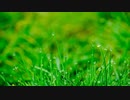 【オリジナル】雨色【インスト】