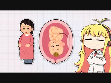 どうして妊婦が飲んではいけない薬があるの？【VOICEROID解説】