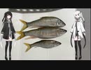 オイカワつり