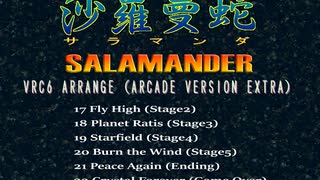 【VRC6アレンジ】沙羅曼蛇 アーケード版補完編