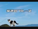 オリジナル曲　猫道のブルース