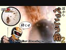 カラー版【本物耳かきASMR】耳からべっこう飴2 Real Ear Cleaning Sound /SONY ECM-PC60/癒しの耳掃除/イヤースコープ/タミヤ調色スティック【SMダークネス】