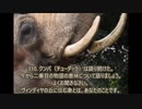 ヨーガ・ヴァーシシュタ６－８９