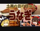 【ゆっくり解説】うなぎの栄養について解説！