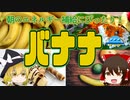 【ゆっくり解説】バナナの栄養について解説！
